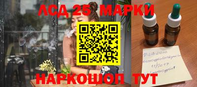 шишки Аргун