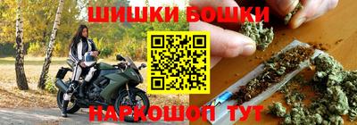 шишки Аргун