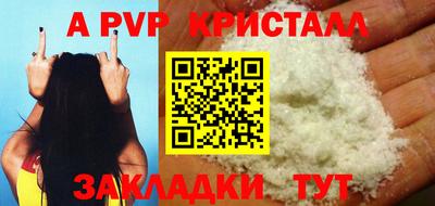 шишки Аргун