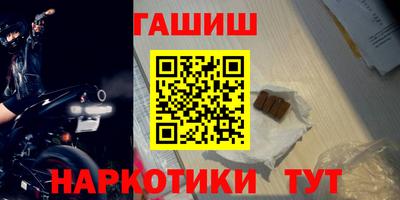 шишки Аргун