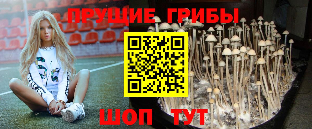 Ахтубинск  Псилоцибиновые грибы Magic Shrooms  Вход с VPN 