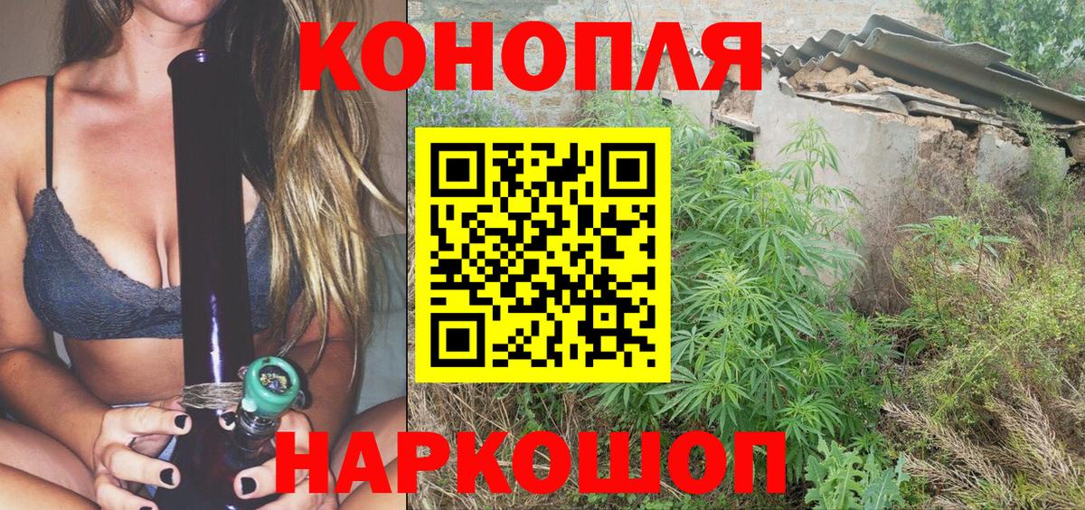 Шишки марихуана конопля Ахтубинск